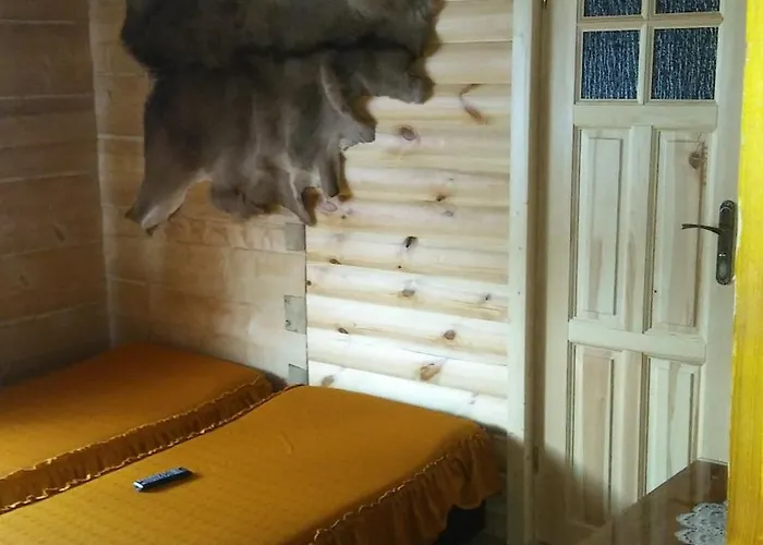 Agroturystyka Pod Lasem